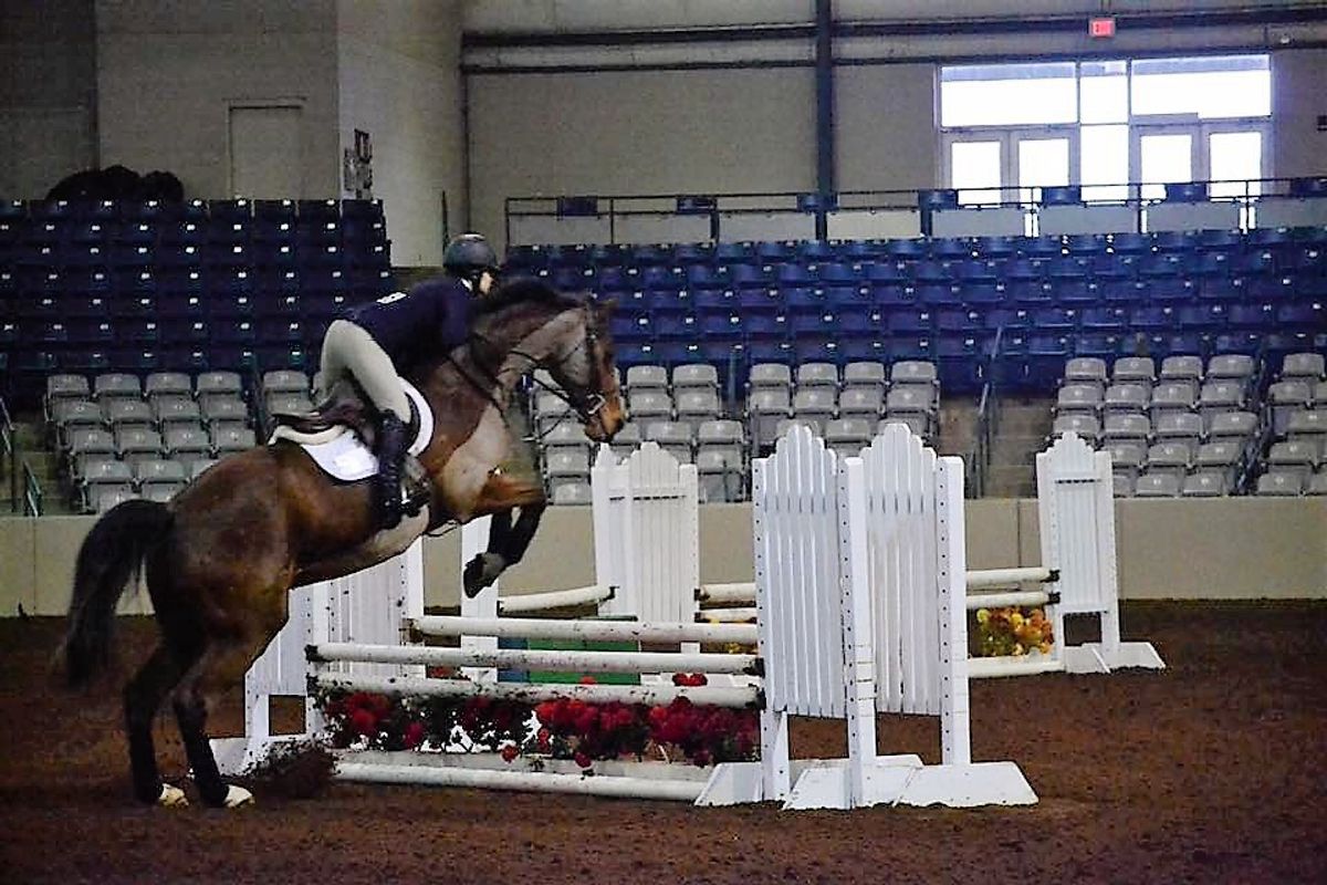 MTSU Hunt Seat Team Boasts Success At First Show Back