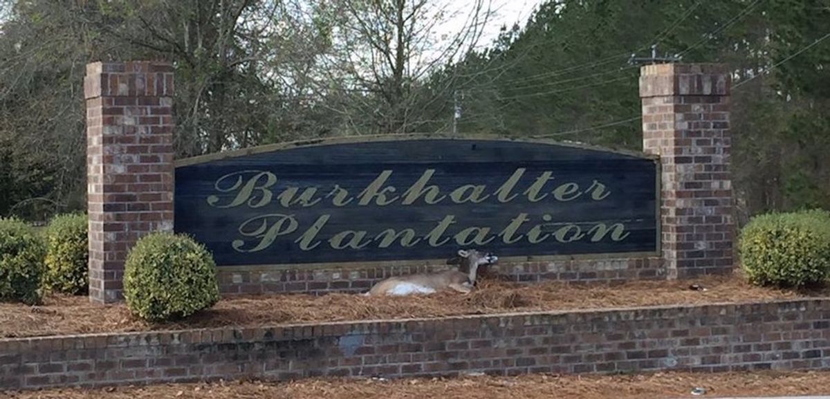 7 Reasons Burkhalter Plantation Is The Best College Neighborhood