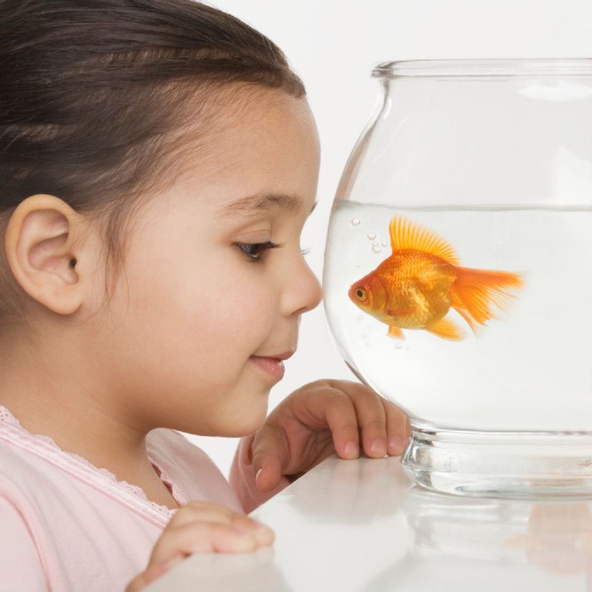 What I Learned From Getting A Fish In College