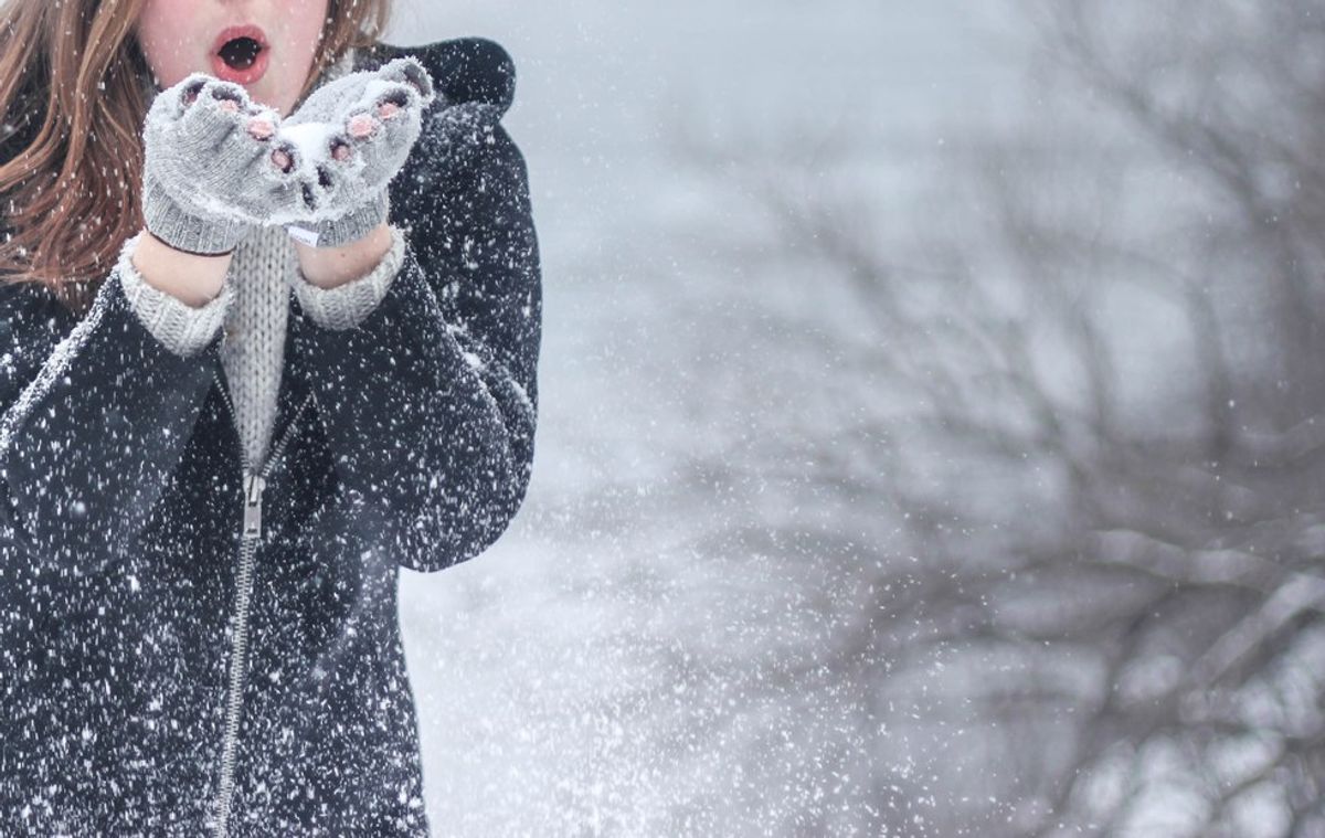 4 Things To Keep You Busy On A Snow Day