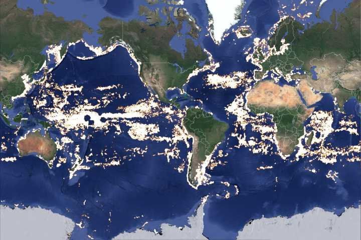 New Maps Reveal Industrial Fishing in More Than Half of World’s Oceans ...