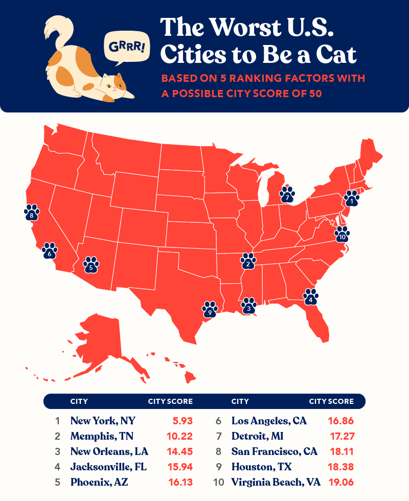 The 25 Best Cities for Cat Lovers, Ranked