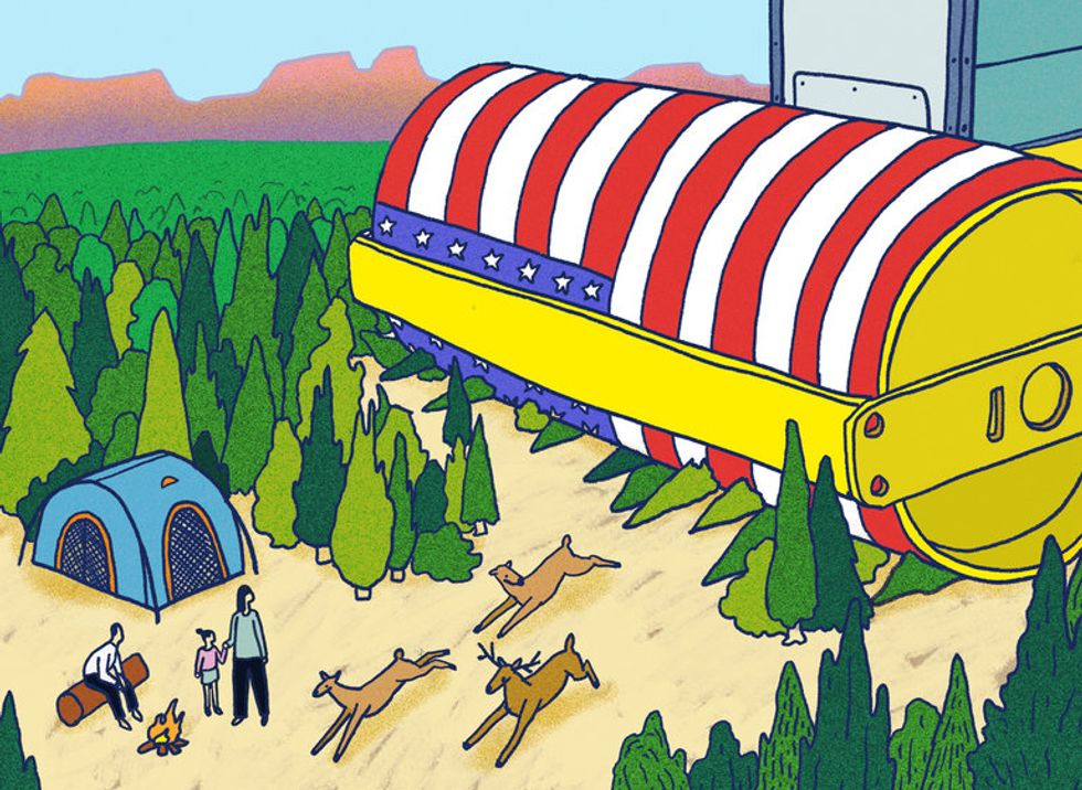 The looting of America’s public lands
