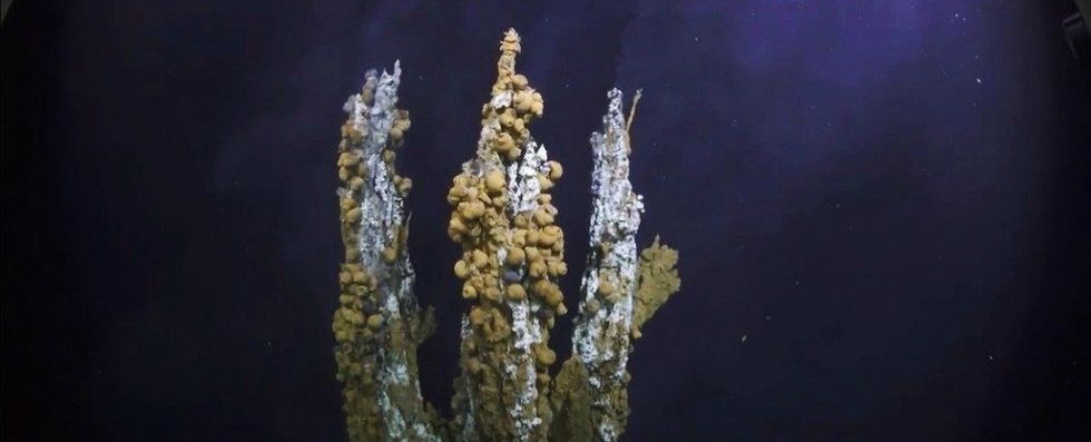 Scientists are using #VR to explore a hydrothermal vent at the bottom of the ocean buff.ly/1VIqWT4