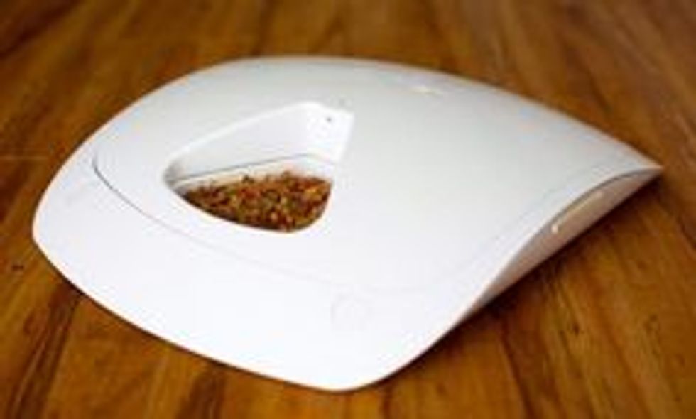 These smart pet feeders will make feeding time modern and fun for pets.