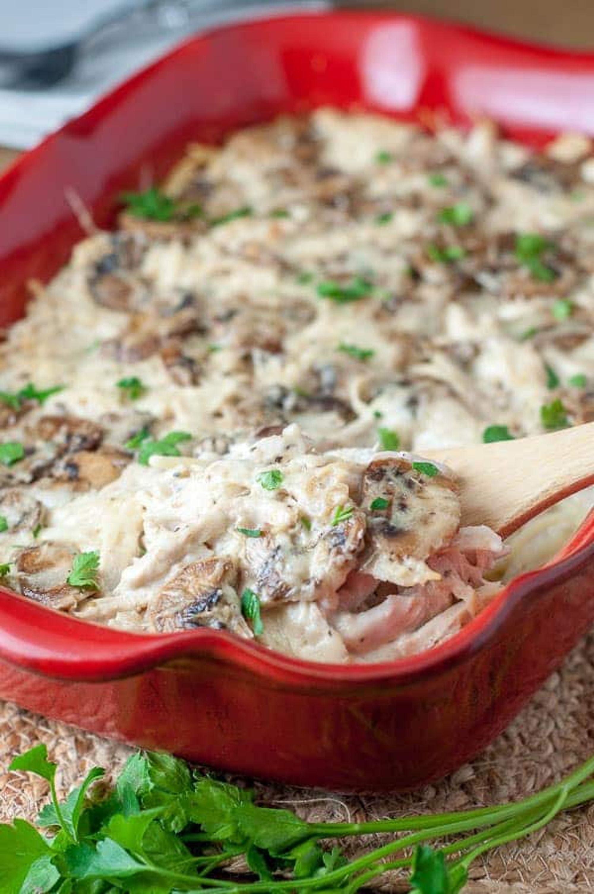 Chicken Tetrazzini Casserole Best Ever Easy Cheesy Casserole My