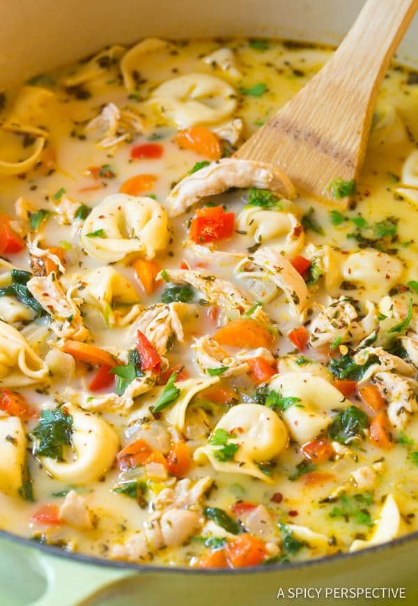 Creamy Chicken Tortellini Soup (Video) - A Spicy Perspective - My ...