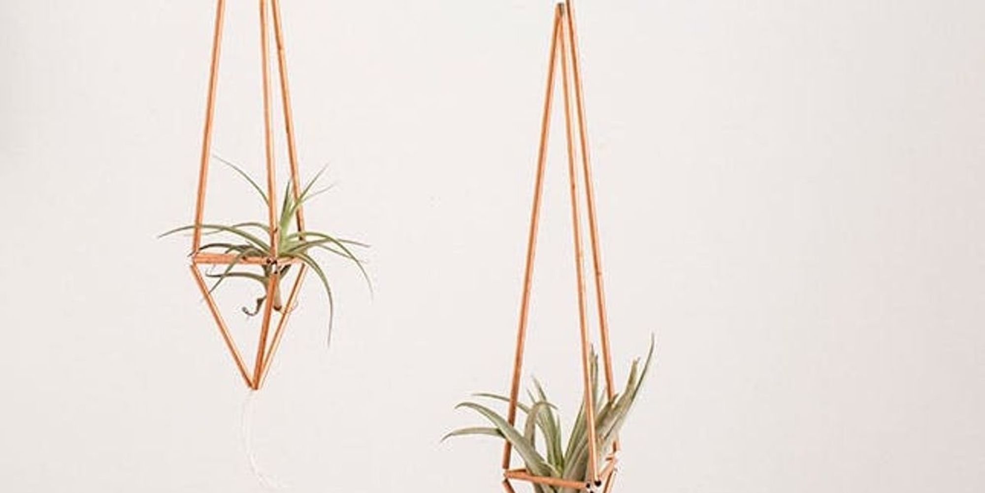How to Make Copper Pipe Plant Hangers in 10 Minutes Brit + Co