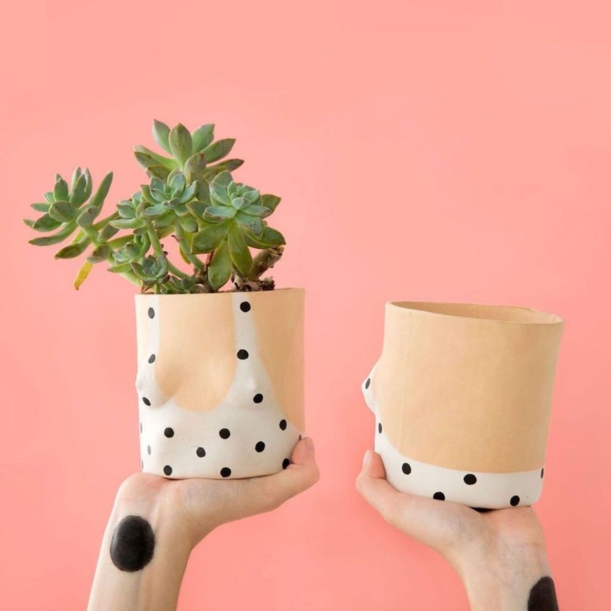 12 Gift Ideas for the Plant Lover in Your Life - Brit + Co