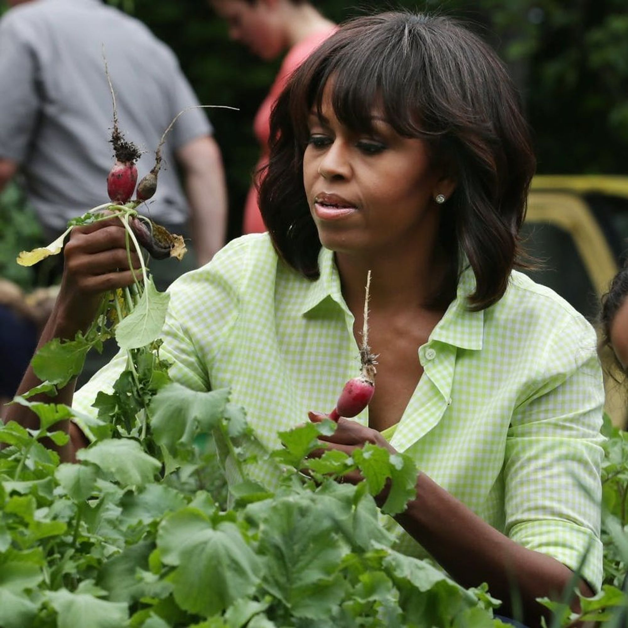 find-out-what-will-happen-to-michelle-obama-s-white-house-vegetable