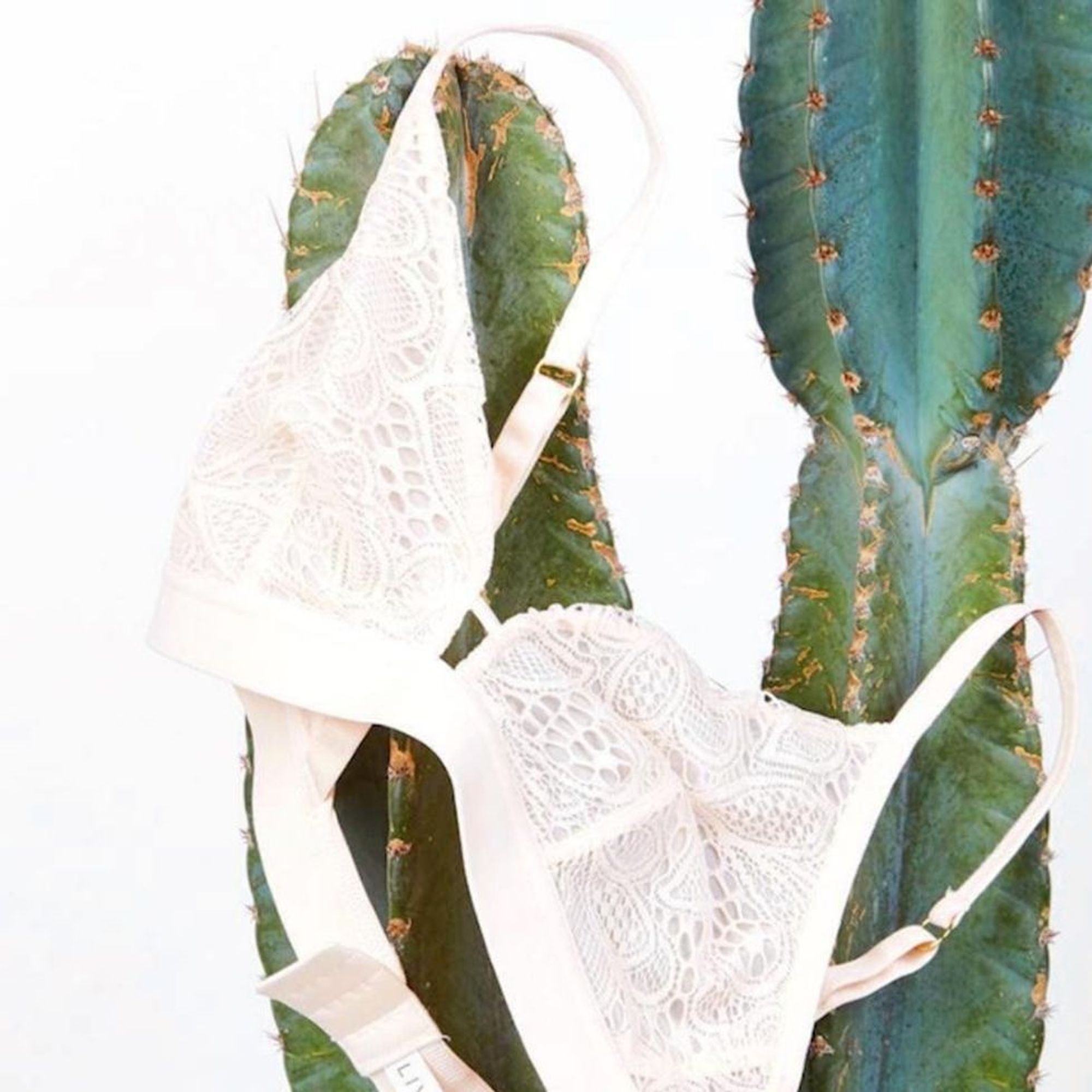 Lively Introduces New Bralette for D to DDD Cup Sizes Brit + Co