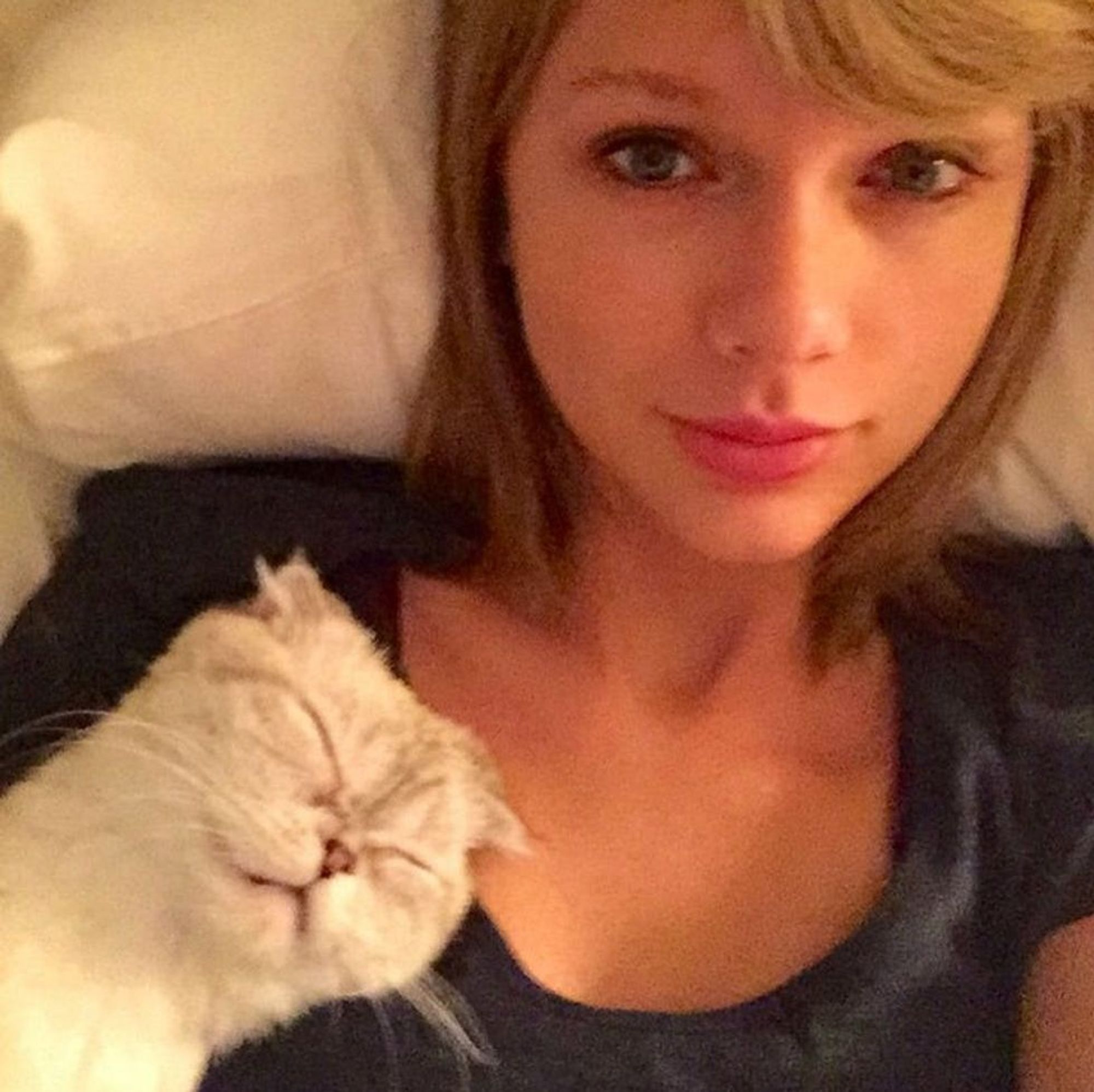 8 Cute Cat Accessories to Copy Taylor Swift’s Date Night Style - Brit + Co