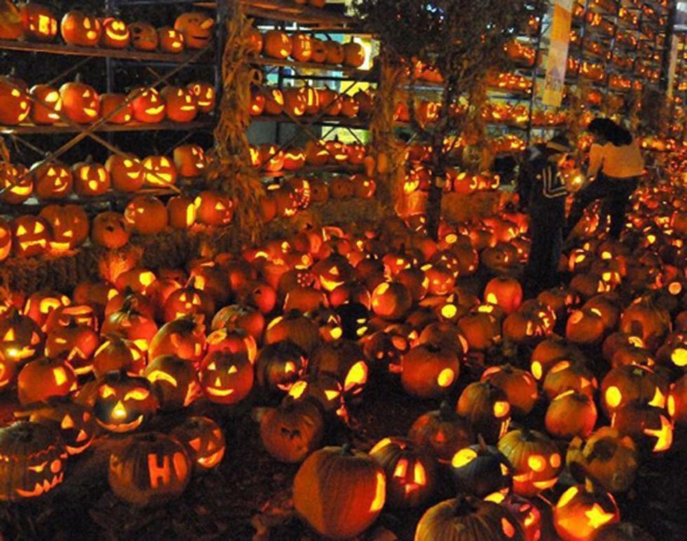 jacko lantern festival