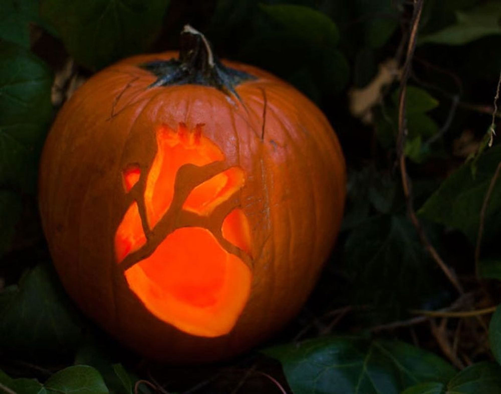 Creep to This: Anatomy Pumpkins - Brit + Co