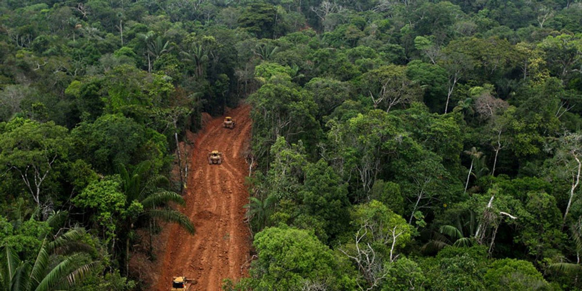 Unmapped roads raise risk to Southeast Asian rainforests: study - The ...