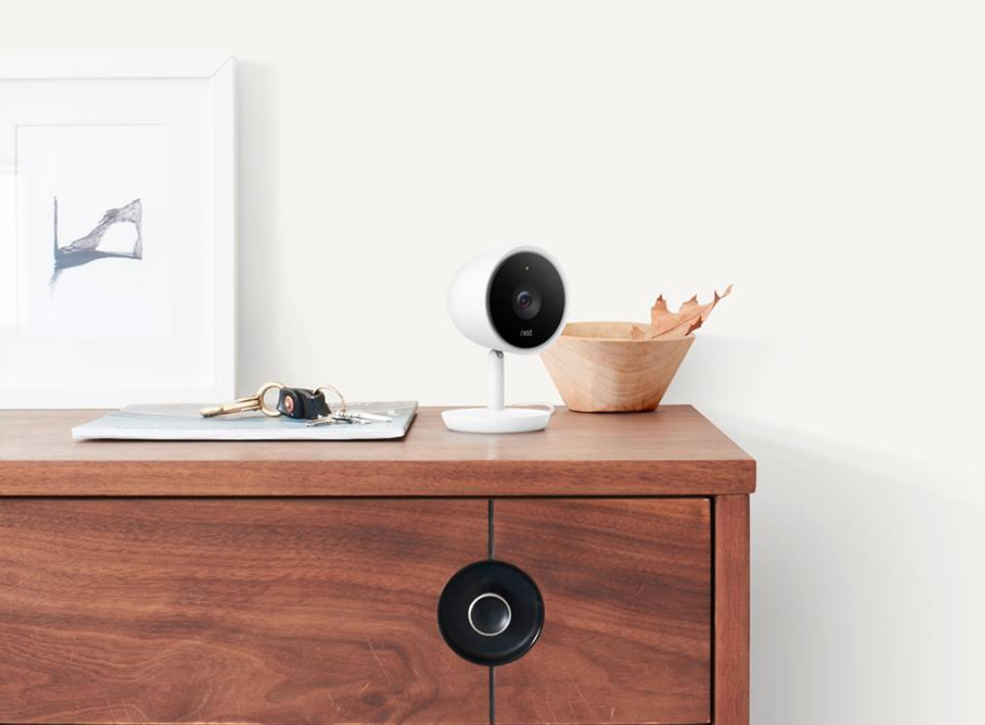 Google Assistant comes to Nest Cam IQ security cameras Gearbrain