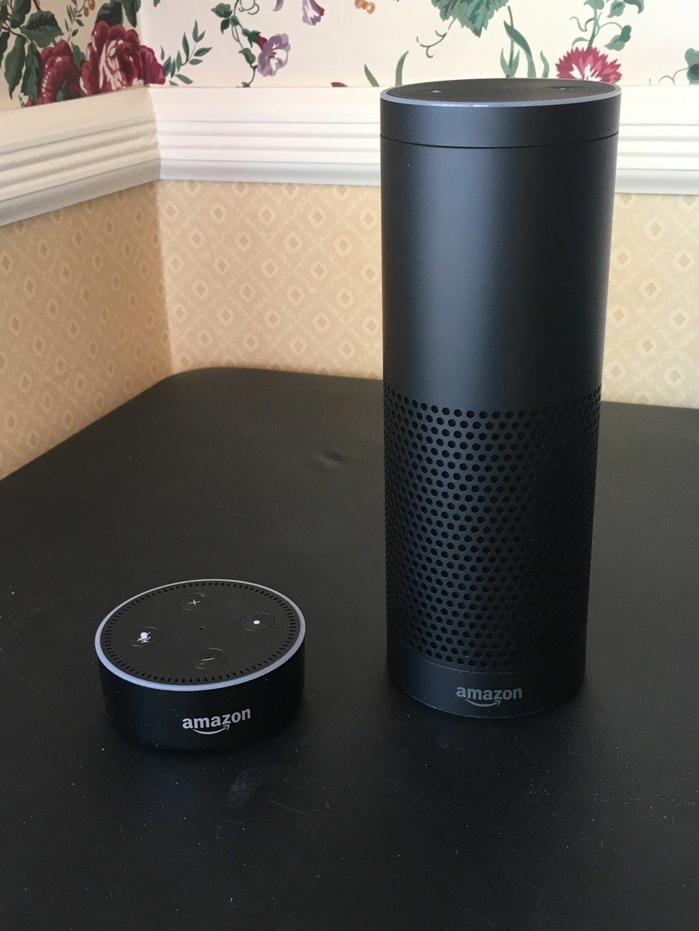 google home mini speaker with voice control