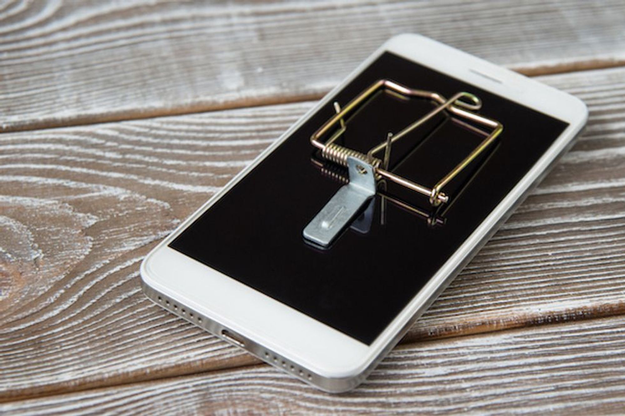 Smart humane pest control devices to fight unwanted intruders Gearbrain