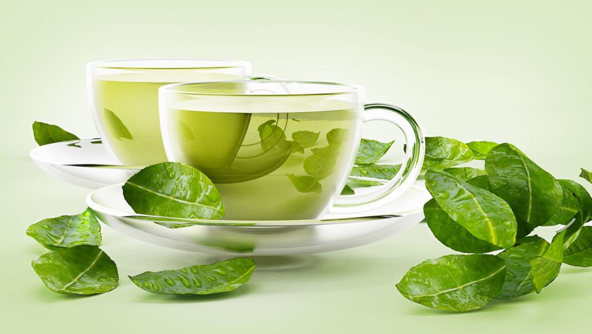 How To Drink Green Tea For Weight Loss HealthyWomen