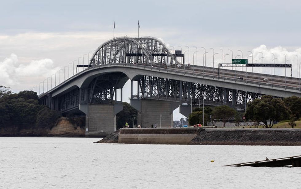 auckland harbour contamination water