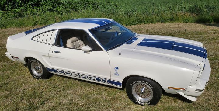 1976 Ford Mustang Cobra II profile