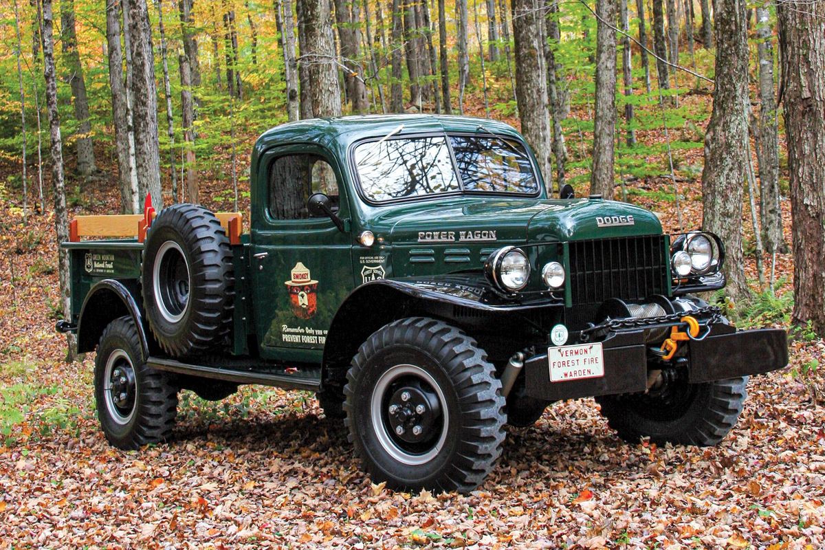 Color image of a 1956 Dodge Power Wagon parked in the woods, front 3/4 position.