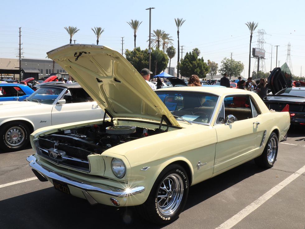 Celebrating the Mustang's 60th Anniversary At The 2024 Fabulous Fords Forever! Show
